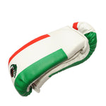 Last Punch Mexico Flag Style Training Punching Boxing Gloves
