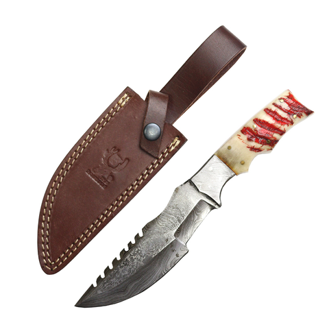 TheBoneEdge 10.5" Damascus Steel Fixed Blade Full Tang White Ram Horn Handle Hunting Knife