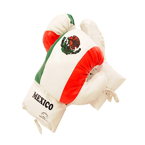 Mexico Flag Boxing Gloves For Practice & Training