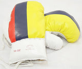 Columbia Flag Vinyl Boxing Gloves For Practice & Training