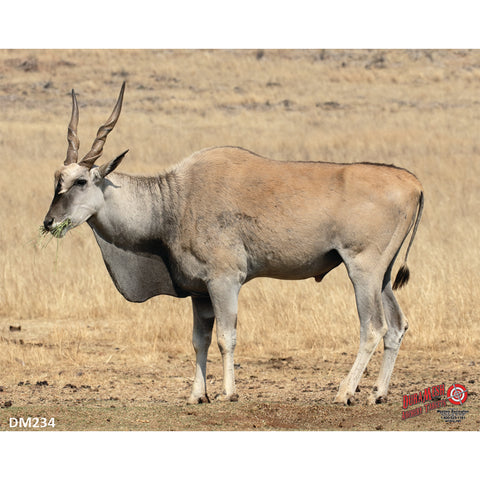 DuraMesh Archery Target